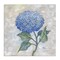 Stupell Industries Traditional Blue Hydrangea Bloom Canvas Design by Paul Brent